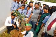 Heritage International School-Tree Plantation